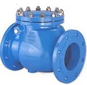 Swing check valves_JPG